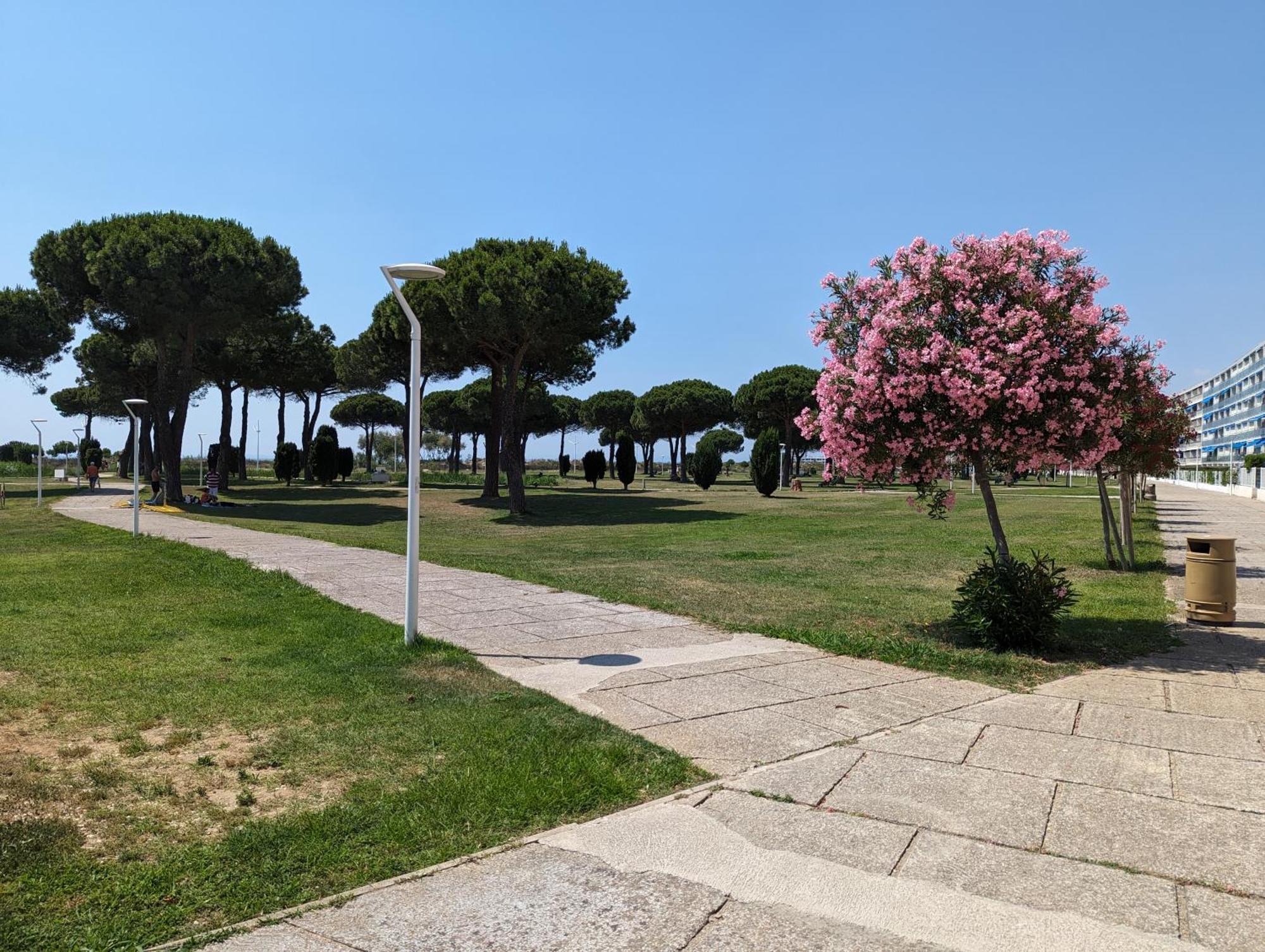 Sol-Y-Days Mathilde, Agreable Appartement En Rez-De-Jardin Avec Parking Et Un Acces Direct A La Plage Le Grau-du-Roi Exterior foto